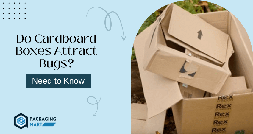 Do Cardboard Boxes Attract Bugs